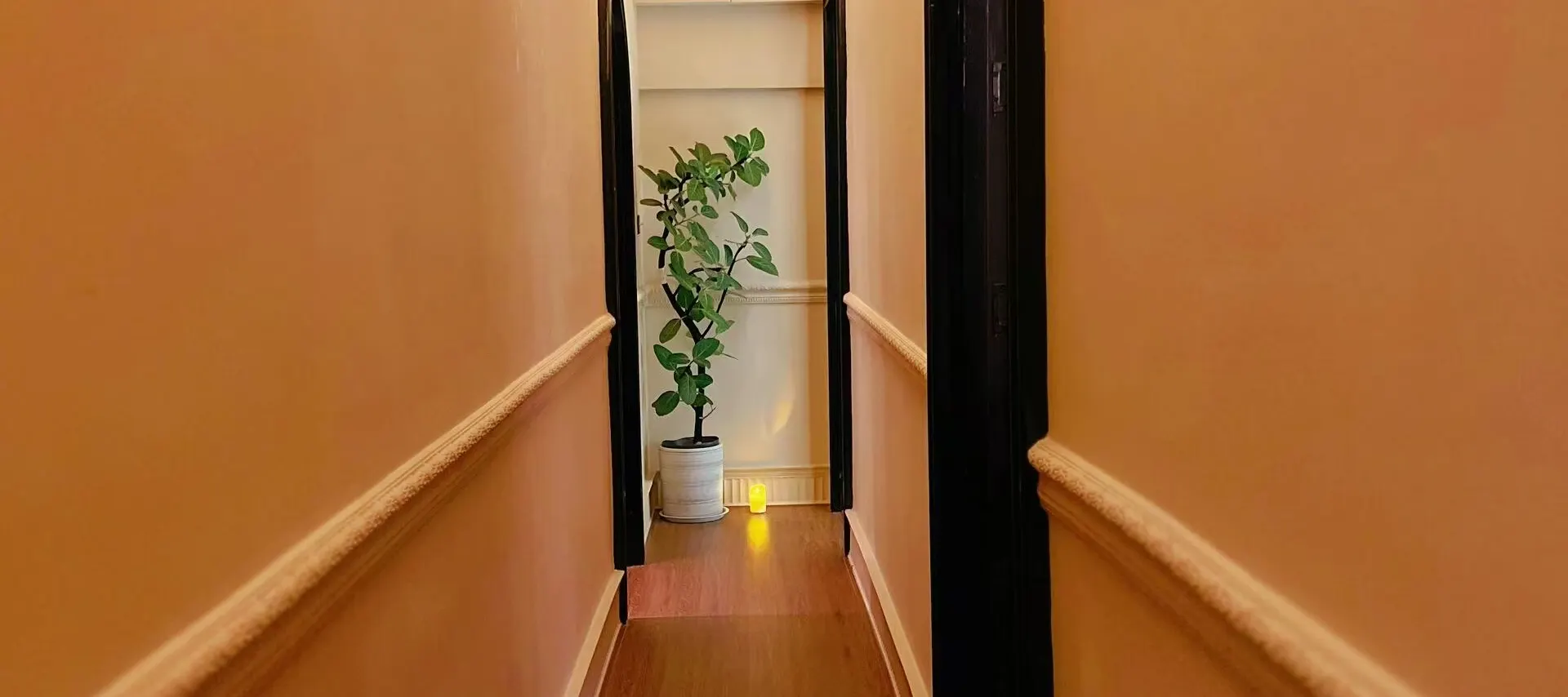 森·自然疗愈空间SPA | 东山口店